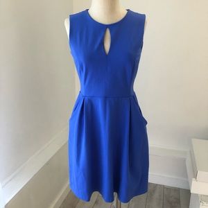 Cynthia Rowley Blue Fit and Flare Dress